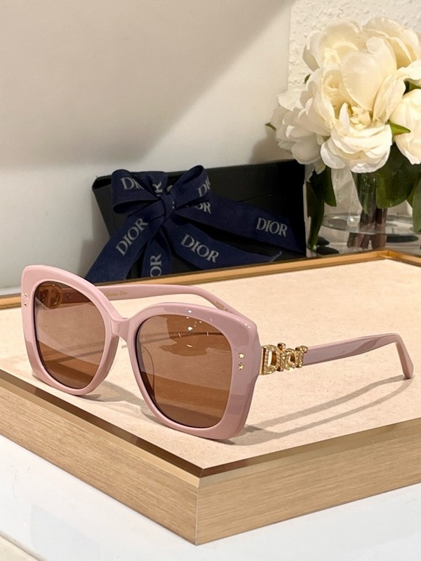 DIOR Sunglasses 112